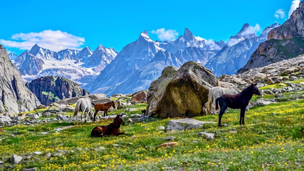 Chatru To Manali | Scenic Drive Through Atal Tunnel