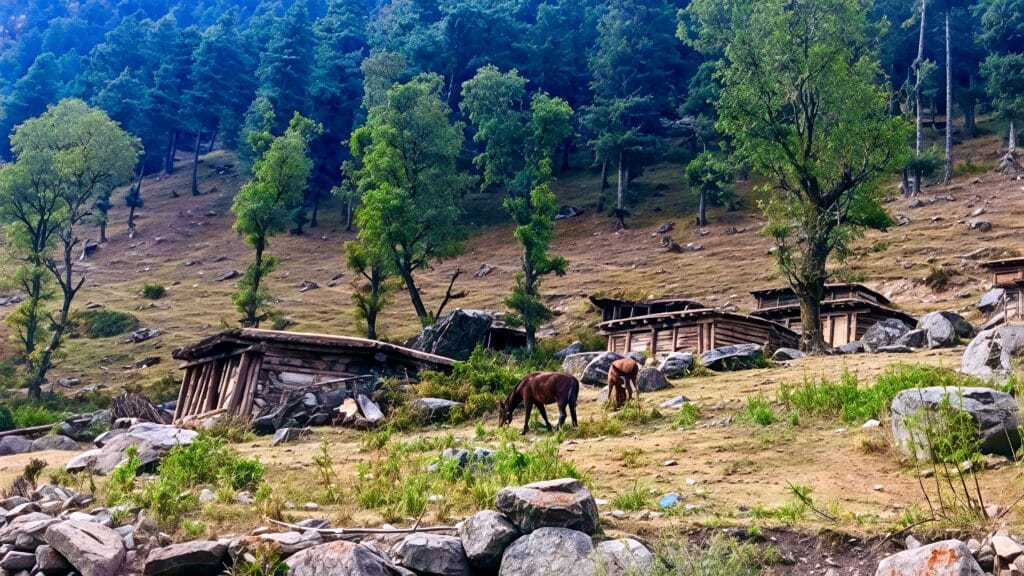 Gangabal To Naranag | Trek Descent & Drive To Srinagar