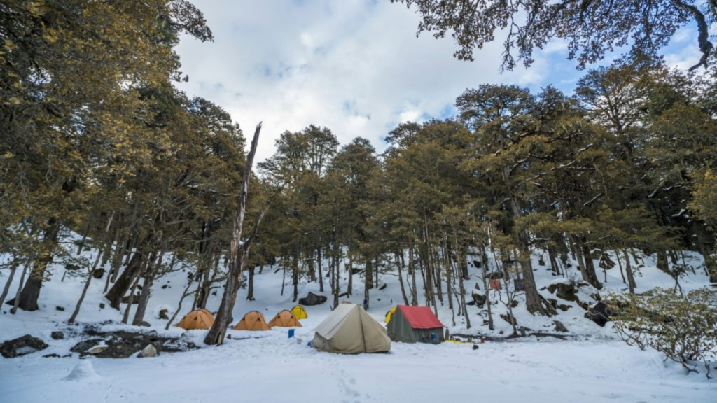 Joshimath To Tugasi | Trek To Gulling Campsite